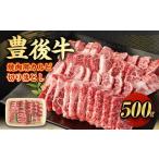 ふるさと納税 大分県 九重町 【大分県産】豊後牛 焼肉用 カルビ 切り落とし 500g 牛肉 中落ち