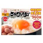 卵 鶏 烏骨鶏等 特別定期便全12回 たまご