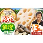 人参 大根 他根菜 年末発送 12 25~27発送