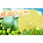 みかん 柑橘類 レモン 璃の香 りのか 約3kg