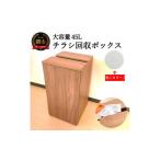インテリア D54-03 チラシ回収ボックス