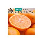 ふるさと納税 和歌山県 有田川町 家庭用　大きな有田みかん5kg+150g（傷み補償分）【わけあり・訳あり】【光センサー選果】＜11月より発送＞