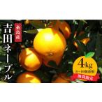 ふるさと納税 福岡県 糸島市 【先行予約販売】吉田ネーブル4kg 糸島市 ／ シーブ [AHC029]