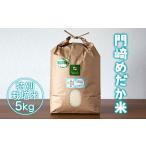 ふるさと納税 米 ひと