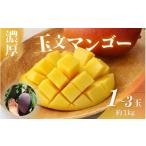 ふるさと納税 マンゴー 和歌山県 すさみ町 希少マンゴー 濃厚玉文マンゴー 約1kg (1〜3玉) / くだもの 果物 くだもの フルーツ マンゴー デザート 和歌山 ar…