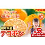 ふるさと納税 みかん・柑橘類 デコポン 熊本県 荒尾市 先行予約 デコポン 5kg 訳あり デコポン ご家庭用デコポン 約 5kg 前後(約12-24玉前後) 糖度13度以上 個…