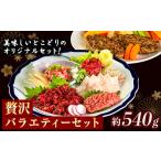 ふるさと納税 馬肉 熊本県 御船町 馬刺し すがのや 贅沢バラエティセット 540g 千興ファーム 馬肉 冷凍 《60日以内に出荷予定(土日祝除く)》 新鮮 さばきたて …