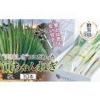 fu.... налог овощи вид лук порей Yamagata префектура - лук порей .. Company {2025 год предшествующий предварительный заказ }.. для Yamagata префектура производство . Chan лук порей 2L размер 10 шт. входит ( 2 шт ×5 пакет ) 2025 год 12 месяц первая декада из последовательность...