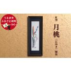 織物 繊維品 紅型 月桃 額装 右向き