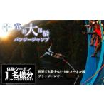 旅行 高さ最大100m 日本一のバンジージャンプ