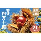 fu.... налог фрукты вид каштан Kochi префектура 4 десять тысяч 10 город время ограничено ограниченное количество новый каштан роскошь 4 десять тысяч 10 каштан 2L размер примерно 1.5kg сырой каштан каштан .. marron осень фрукты фрукты закуска жарение каштан каштан...