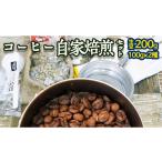 ふるさと納税 コーヒー コーヒー豆 茨城県 牛久市 コーヒー 自家焙煎 セット コーヒー豆 200ｇ 2種 × 100ｇ コーヒー ブレンド 生豆 焙煎 初心者 お手軽