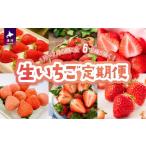 ふるさと納税 いちご 北海道 浦河町 来年1月より発送 全6品種が届く 生いちご定期便(全6回) 13-1130