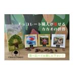 菓子 チョコレート カカオ70% ビーントゥバー