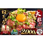 マグロ 定期便 3回 ネギトロ 2000g