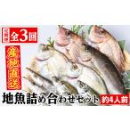 旬の鮮魚等 C09002 3回定期便 魚屋さんの選んだ新鮮お魚詰…