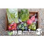 fu.... налог комплект *... Gifu префектура высота гора город ограниченное количество нет удобрение природа культивирование овощи комплект 5~7 вид |... овощи ... осень овощи прямая поставка от производителя ... комплект свежий овощи ....