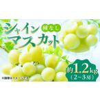 ふるさと納税 ぶどう マスカット 熊本県 山鹿市 先行予約 数量限定 シャインマスカット 約1.2kg 2〜3房 ぶどう 種なし 葡萄 ブドウ ぶどう 皮ごと食べられる …