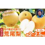 ふるさと納税 梨 熊本県 荒尾市 先行予約 梨 目野果実直売所 荒尾梨 約2-2.5kg(5〜10玉前後) 熊本県 荒尾市 産 和梨 なし フルーツ 果物 新鮮 《7月下旬-10月…