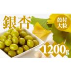 野菜類 大粒銀杏 殻付き 1 200g