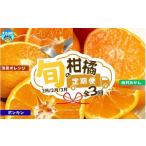 果物類 みかん 3回定期便 1 2 3月のみかんを集めた