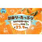 果物類 みかん 3回定期便 1 2 3月 届く 訳ありみかんの定期…