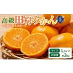 果物類 みかん 完熟 アルギット 3kg