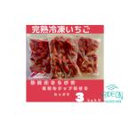 ふるさと納税 いちご 静岡県 牧之原市 いちご 冷凍 新鮮 国産 鈴木農園の 冷凍いちご きらぴ香 1kg × 3袋 約3kg 新鮮 国産 デザート フルーツ イチゴ 苺 おい…
