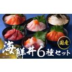 ふるさと納税 魚貝類 サーモン 福井県 越前市 純国産 数量限定 海鮮丼の具の贅沢6種類セット