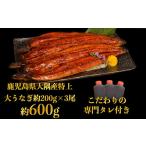 ふるさと納税 うなぎ 熊本県 人吉市 特上うなぎ 600g(200g×3尾) タレ付き うなぎ 鰻