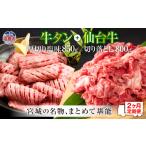 牛肉 タン 定期便 全2回連続 お肉の堪能セット