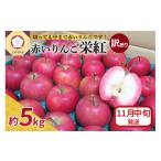 りんご 赤~いりんご 栄紅 訳あり約5kg