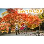 体験チケット 人力車で30分間周遊プラン