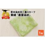 小物 ハンカチ スカーフ 草木染め羽二重スカーフ