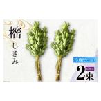 苗木 しきみ しきび 2束