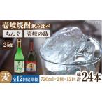 焼酎 麦 全12回定期便 壱岐の島 25度とちんぐのセット