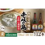 焼酎 麦 全6回定期便 壱岐の島 伝匠 と 25度 720ml
