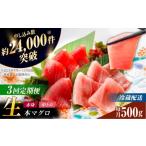 マグロ 全3回定期便 ながさき水産業大賞受賞