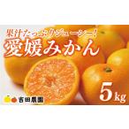 愛媛みかん 5kg