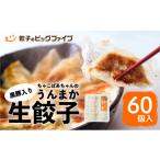 ふるさと納税 餃子 鹿児島県 鹿児島市 ちゃこばあちゃんの黒豚入りうんまか生餃子 60個入り K027-001