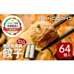 ふるさと納税 餃子 鹿児島県 鹿児島市  第1回 日本全国 ご当地冷凍食品大賞 2024-2025 優秀賞受賞 鹿児島黒豚100%餃子 64個入り　K027-009