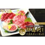 馬肉 馬刺し 熊本 赤身 ユッケ 霜降り 鮮馬刺し