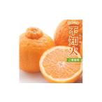 みかん 柑橘類 デコポン 不知火 2.5kg+250g