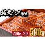 ふるさと納税 うなぎ 佐賀県 上峰町 《特大》うなぎ 蒲焼焼き 2尾 500g(250gX2尾) 中国産 B-1035
