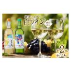 ふるさと納税 ワイン セット 山形県 高畠町 白 ワイン 高畠ワイナリー 辛口 甘口 ワイン 720ml 2本 小田部商店 山形県 高畠町 tk06ayt180156 白ワイン 飲み比…