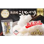 ふるさと納税 米 コシ