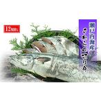旬の鮮魚等 鰆 朝獲れ 鰆の切り身 12切れ