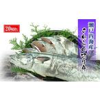 旬の鮮魚等 鰆 朝獲れ 鰆の切り身 20切れ
