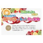 果物の詰合せ 定期便3回 野菜ソムリエの選ぶ日本の地中海