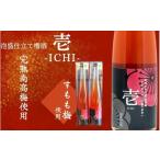 お酒 リキュール 壱 -ICHI- 泡盛梅酒 375ml×2本
